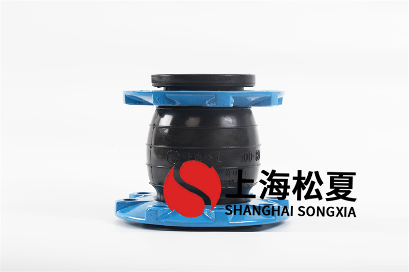 DN80黄瓜视频官网用於海水的規格