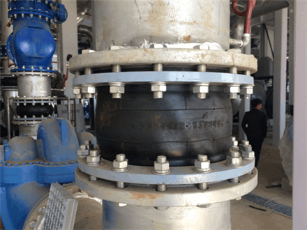 黄瓜视频官网圖一